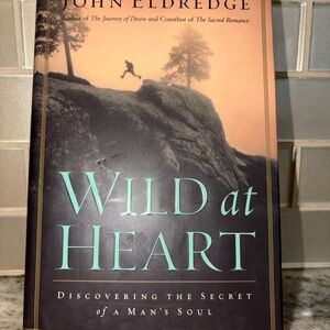 John Eldredge "Wild at Heart" Hardcover Book - Teal & Brown Cover